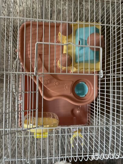 Клетка для грызунов 33,24,31