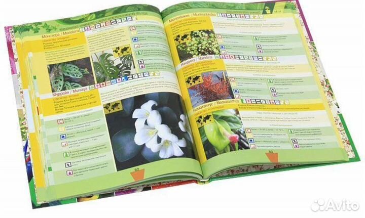 Книги различных жанров (новые)