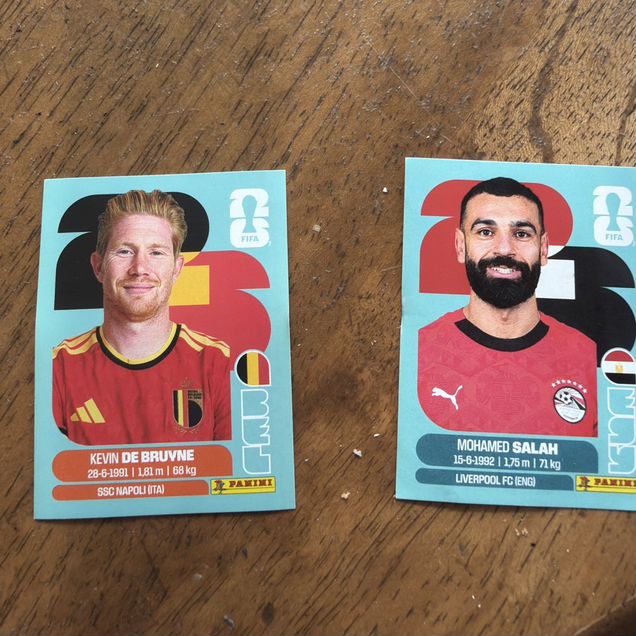 Наклейки panini
