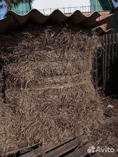 Солома пшеничная в мешках