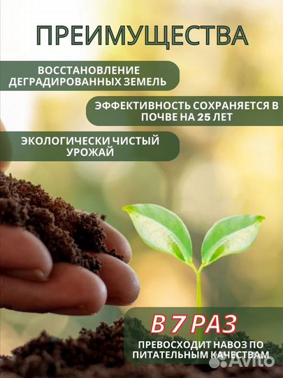 Чернозем беогумус