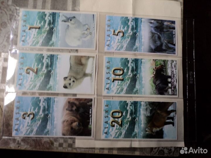 Боны с животными