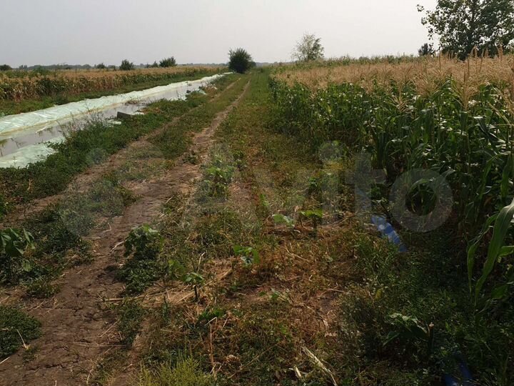 Участок 5 га (СНТ, ДНП)