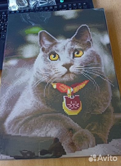 Алмазная мозаика на подрамнике Серый кот
