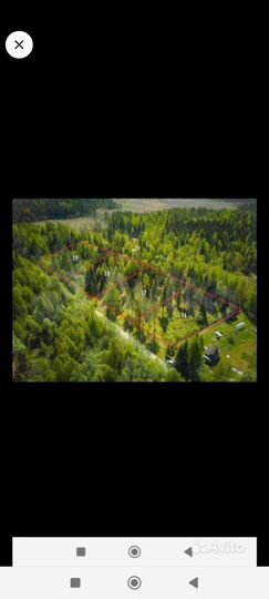 Участок 12,5 сот. (СНТ, ДНП)