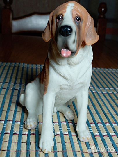 Собака Сенбернар