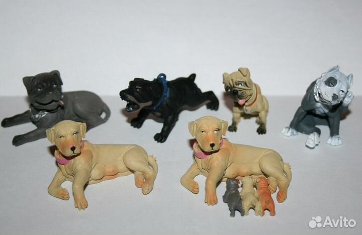 Взрослые собаки, щенки, собаки япония