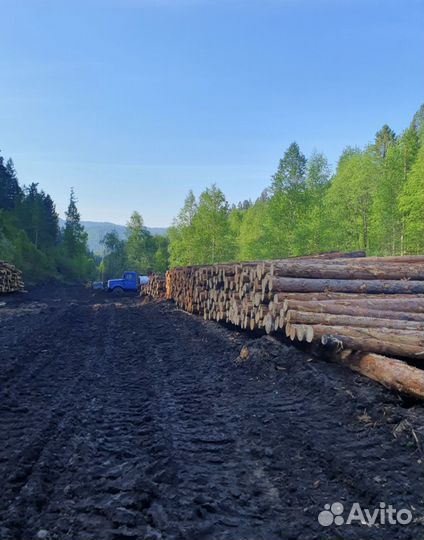 Продам лес кругляк