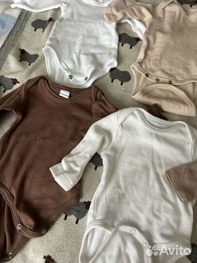 Боди 56 размер