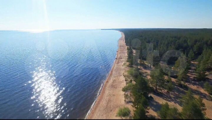 Участок 12,56 га (ИЖС)