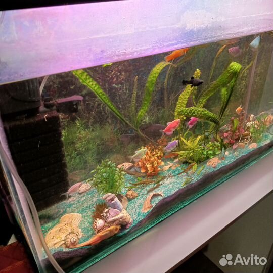 Аквариум 120л. с рыбками