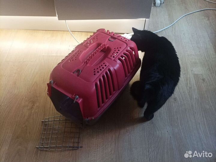 Переноска пластиковая прочная