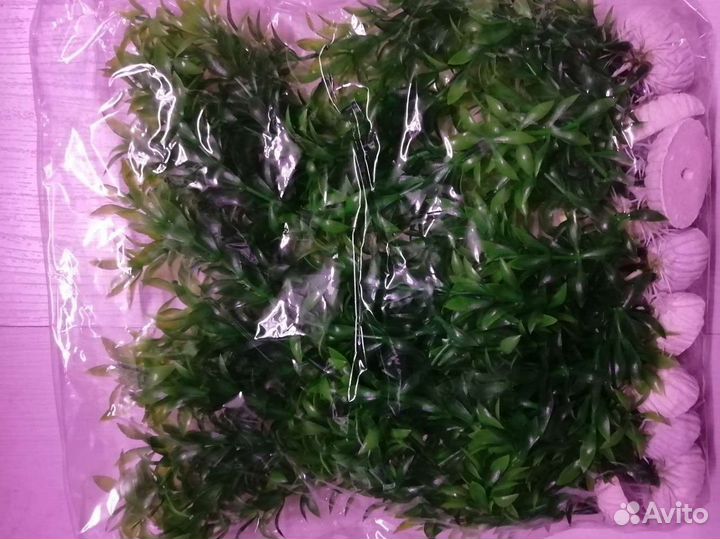 Аквариумное растение 25 см