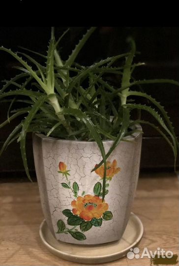 Кашпо горшок для цветов
