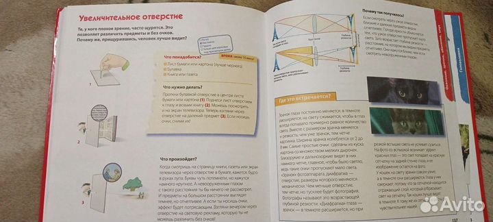 Книга Научные эксперименты дома