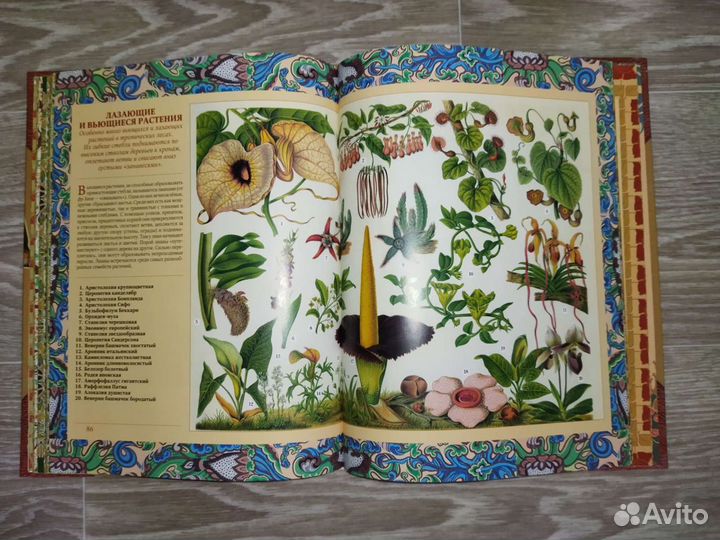 Детские книги новые