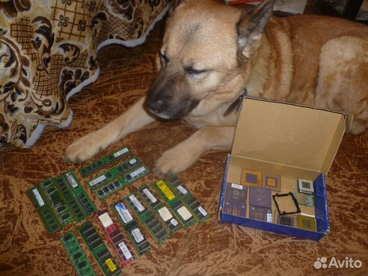 Память ддр1,ддр2 и комплектующие от компов