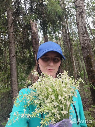 Упаковщица