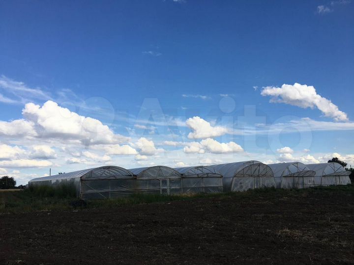 Участок 54,4 сот. (личное подсобное хозяйство (лпх))