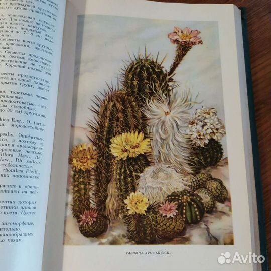 Книга 1953 г