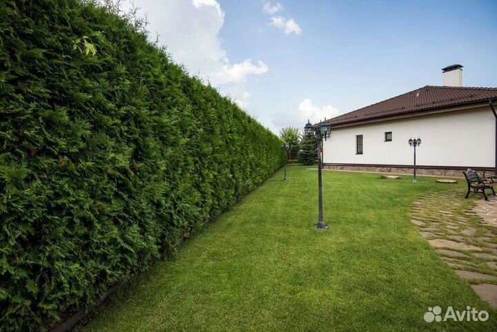 Рулонный газон Premium. Доставка, укладка