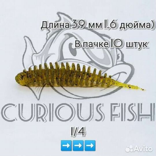 Curious Fish Leech Dance 1,6 дюйма (39 мм)