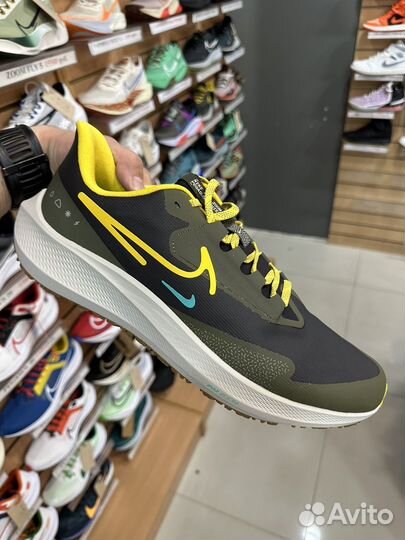 Nike pegasus 39 shield