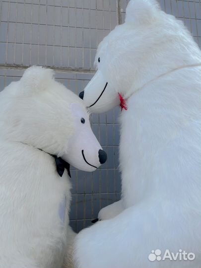 Ростовой Белый медведь аниматор на Ваш праздник