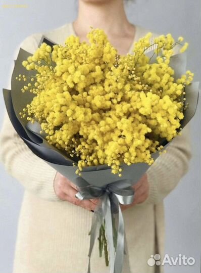 Букеты из мимозы (Арт.38205)
