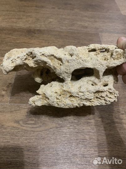 Камень в аквариум