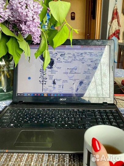 Репетитор по химии и биологии