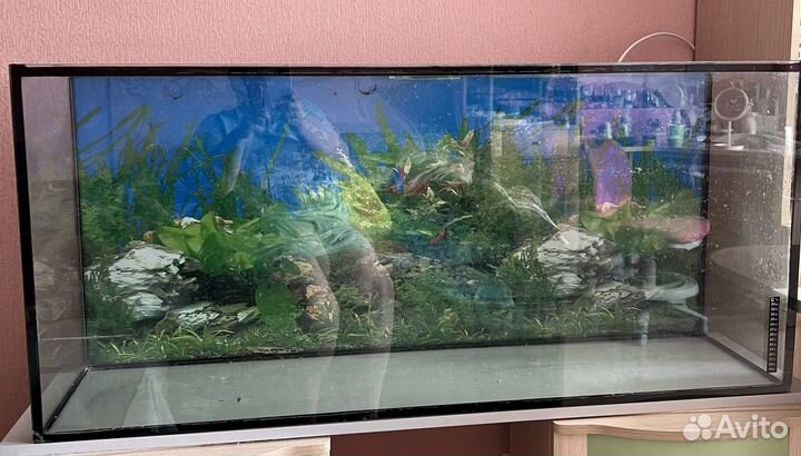 Аквариум