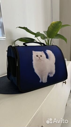 Переноска для животных