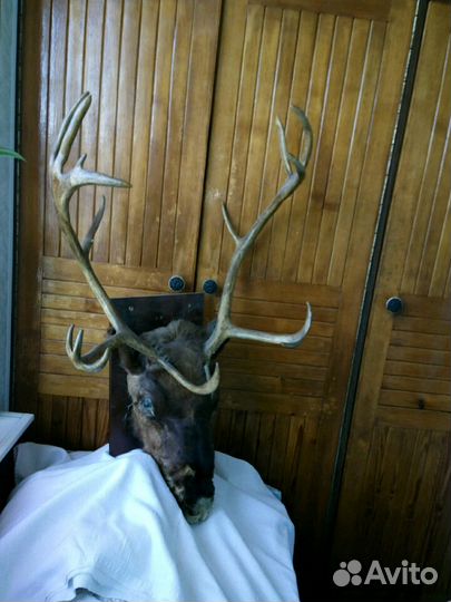 Предметы интерьера