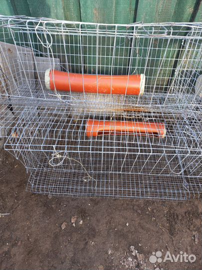 Клетка для куриц