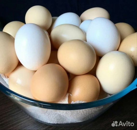 Домашние куриные яйца