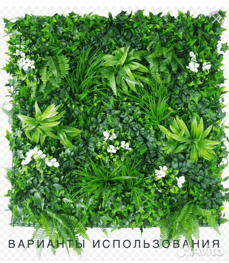 Шефлера панно