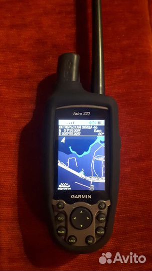 Навигатор garmin astro 220 с ошейником