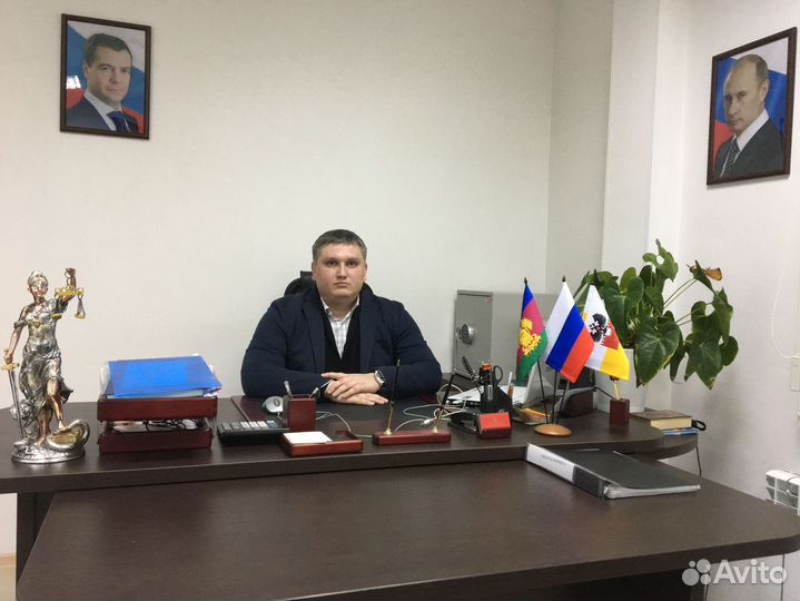 Юрист. Банкротство физических лиц—Реструктуризация