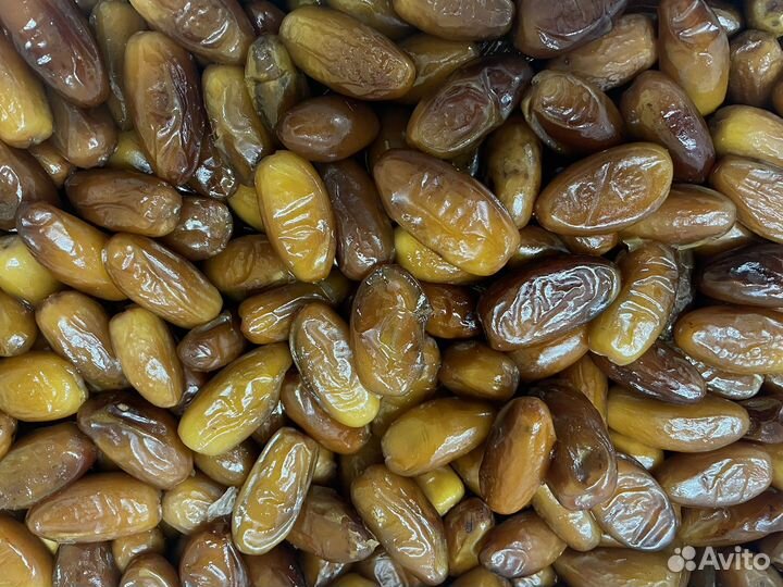 Финики алжир