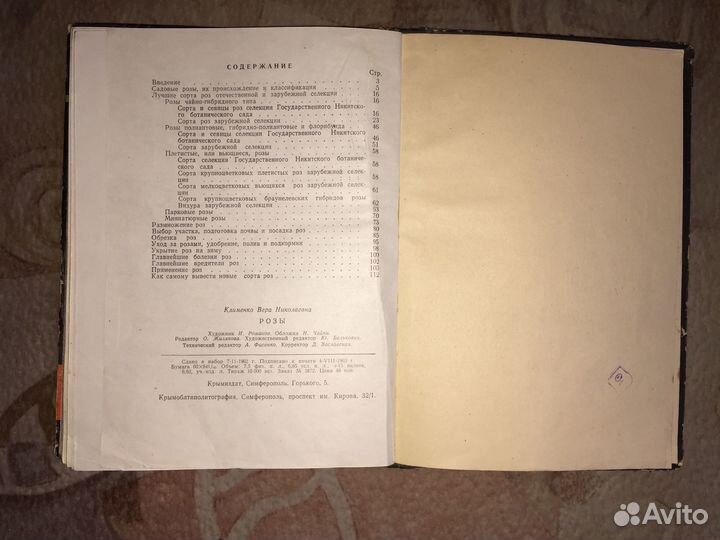 «Розы» В. Клименко