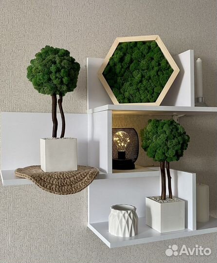 Топиарий из стабилизированного мха