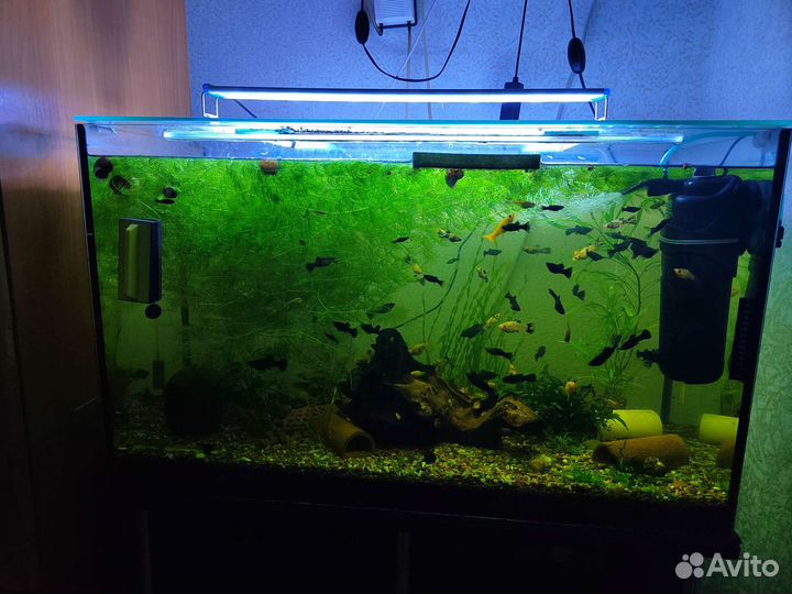 Украшение для аквариума
