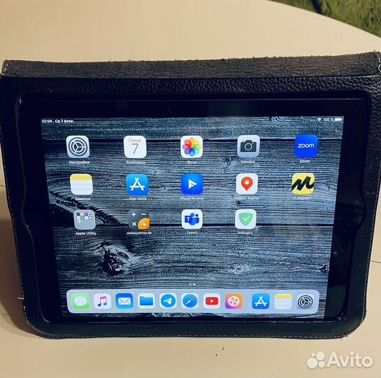 iPad Air (Wi-Fi + Cellular)