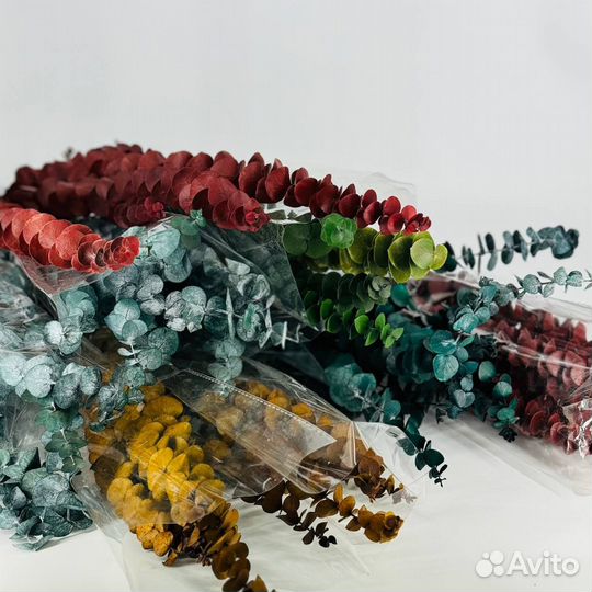 Стабилизированный эвкалипт