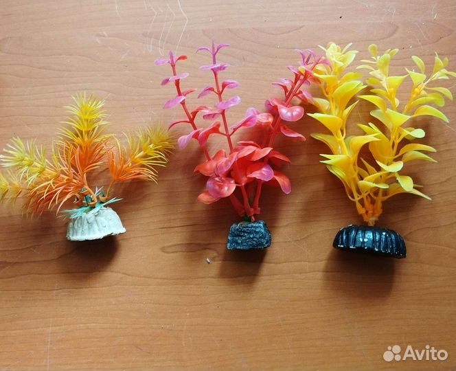 Для аквариума