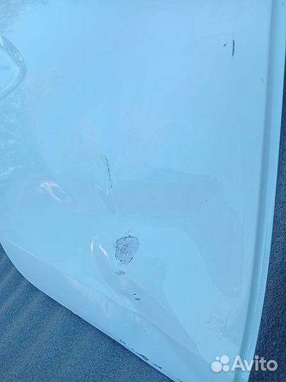 Дверь vesta св