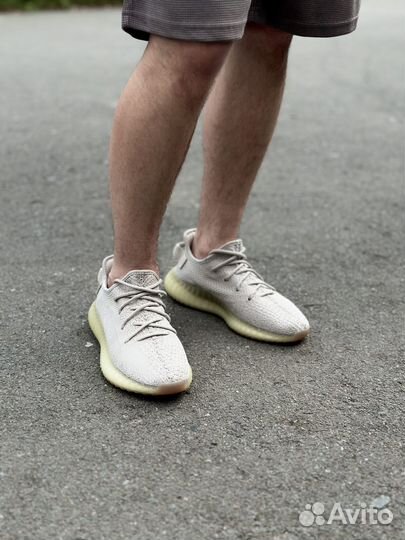 Кроссовки Adidas Yeezy Boost 350 v2