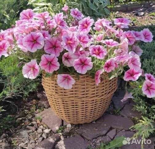 Кашпо из ротанга