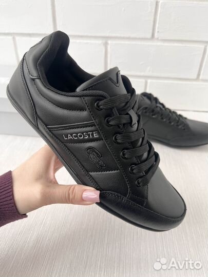 Новые мужские кеды Lacoste